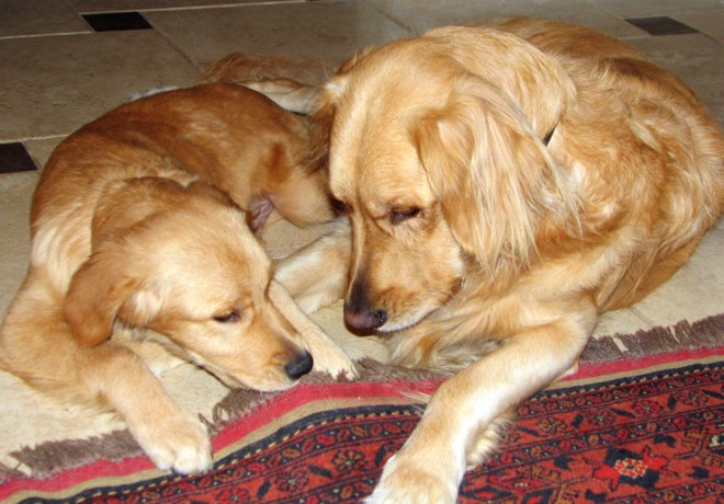 Don't Even Think It!