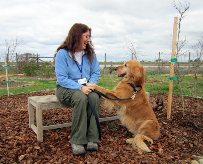 Volunteer and Dog