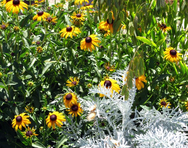 Cottage-Garden-3-7_15