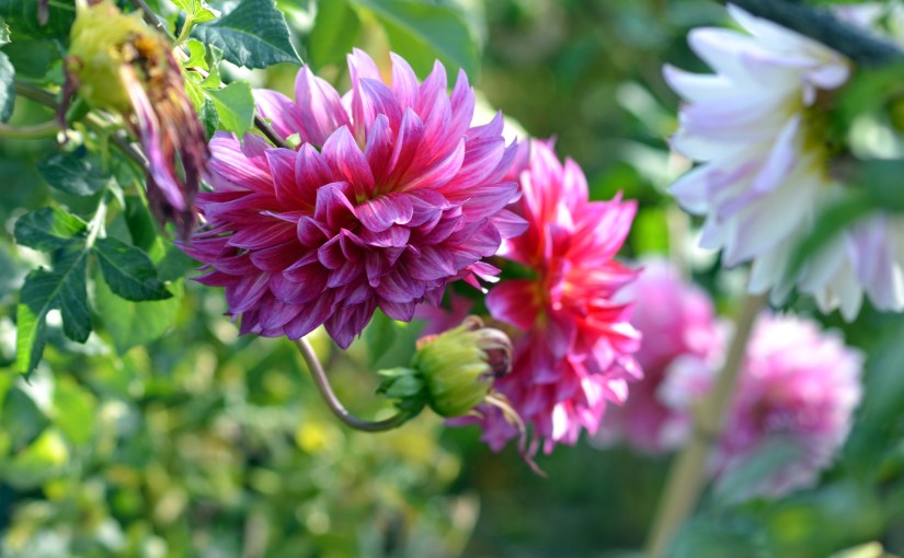 Medicine to the&nbsp;Soul