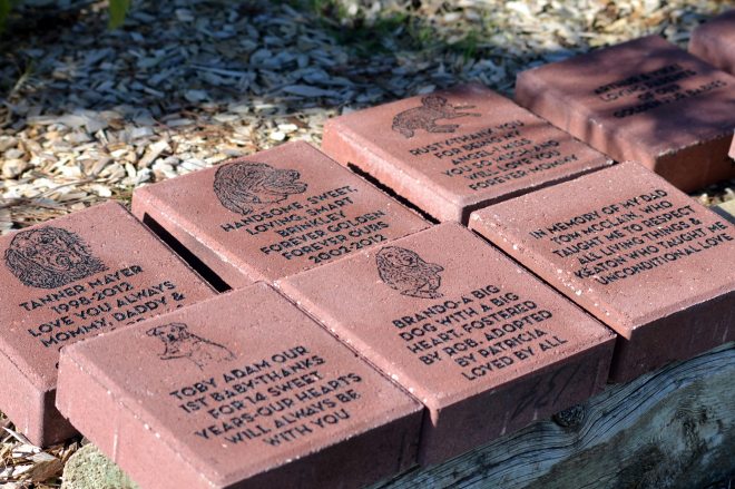 Bricks_Detail_November