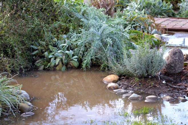 Cottage-Garden-Rains_12