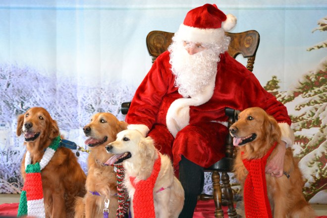 Homeward-Bound-Santa-Photos