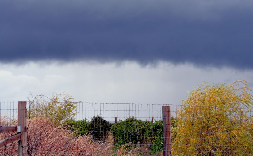 When it Rains:&nbsp;Walk