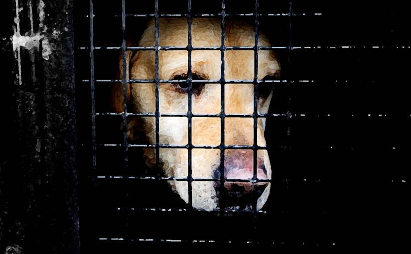 This has to&nbsp;stop