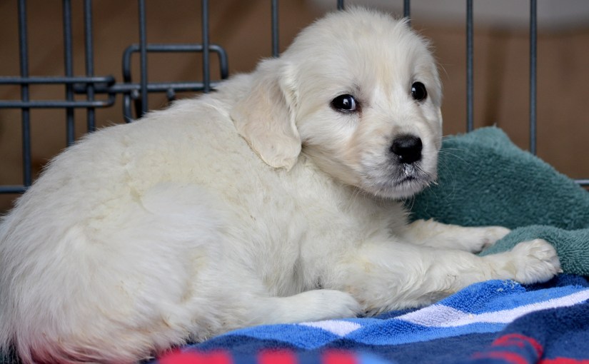 Wordless Wednesday: Unforgettable&nbsp;Agatha