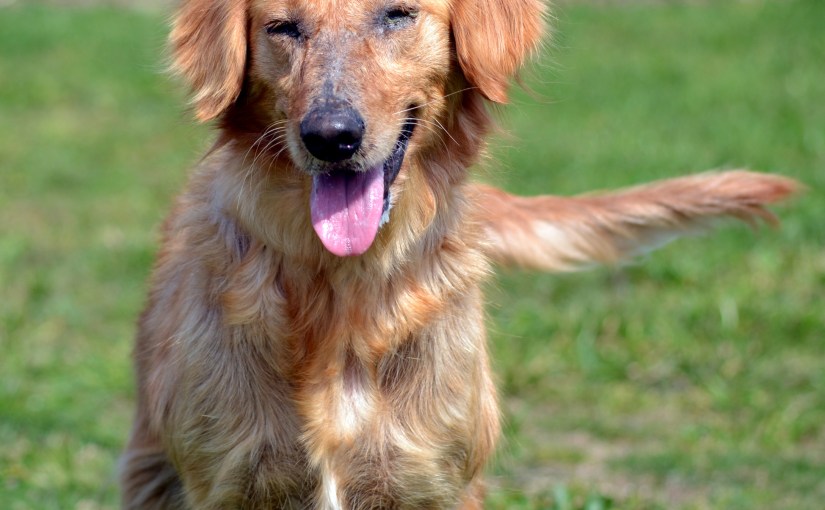 Wordless Wednesday: Anastasia