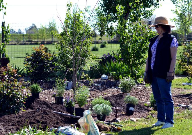 Butterfly-Bed-Rework