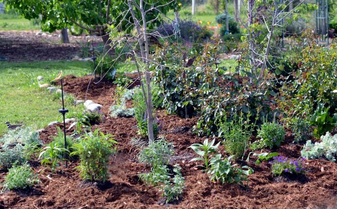 Butterfly-Bed-Reworked3