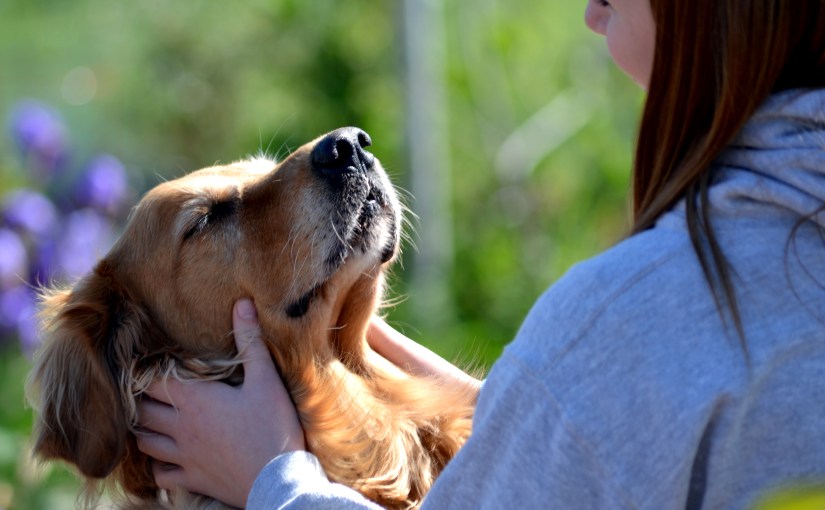 Wordless Wednesday: Lilly’s&nbsp;Bliss