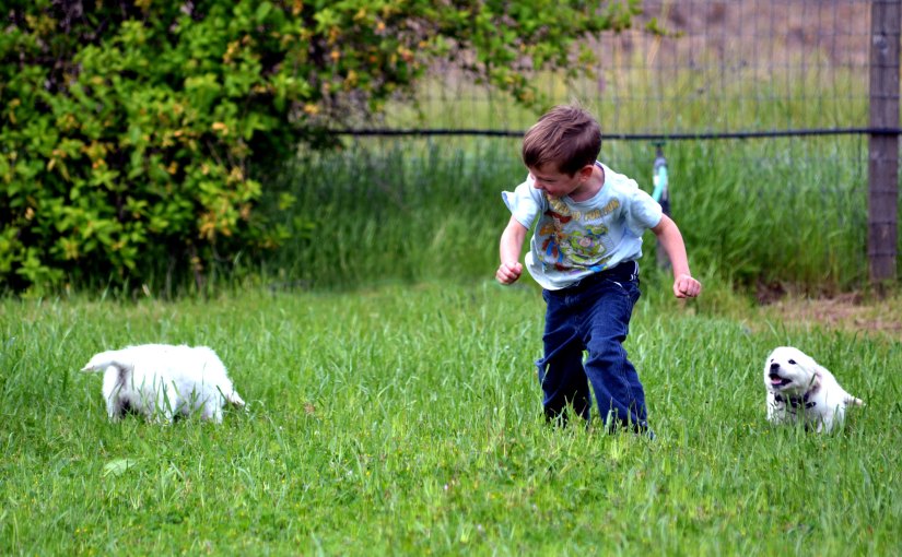 Wordless Wednesday: Puppy&nbsp;Love