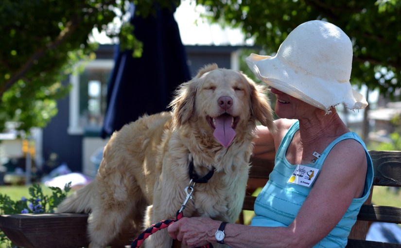 Wordless Wednesday: Dodger