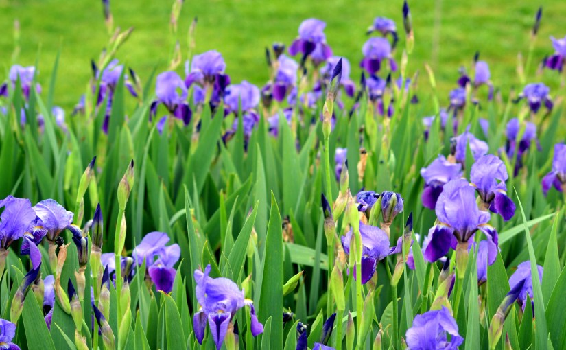 There are no words&nbsp;Wednesday