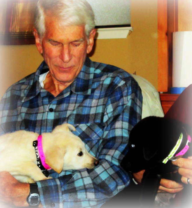 Dick-Brothers-Puppies