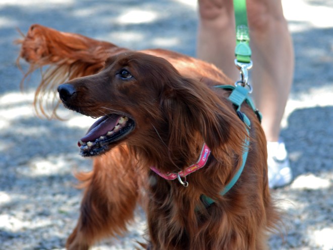 Dimples_Taiwan2-6_13