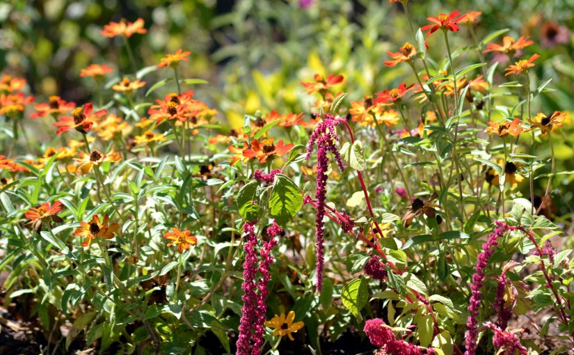 First Hint of&nbsp;Fall