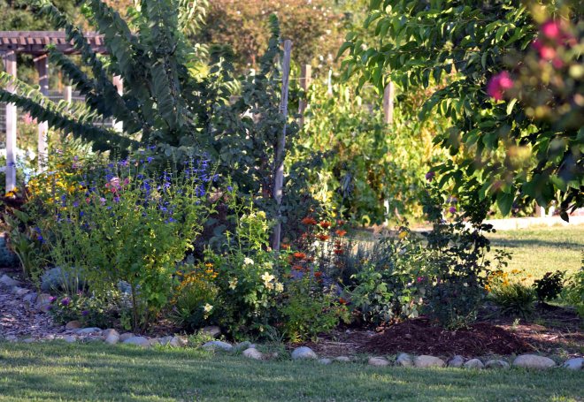 Butterfly-Garden-Evening-8_13