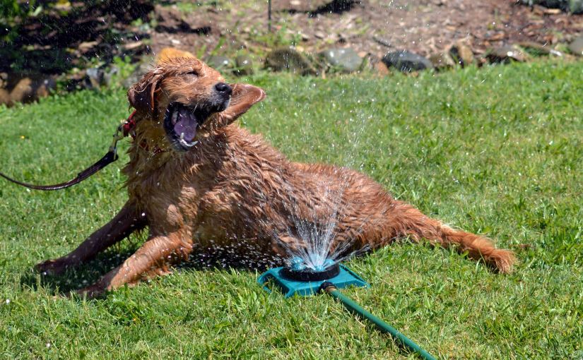 A Few Words on&nbsp;Wednesday