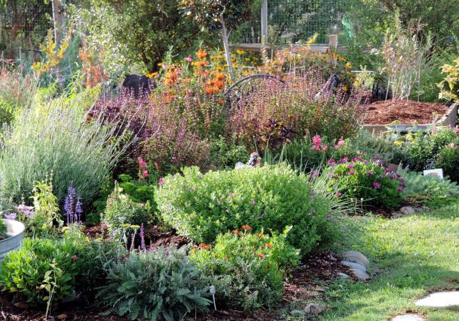 Herb-Garden-2-9_29_13