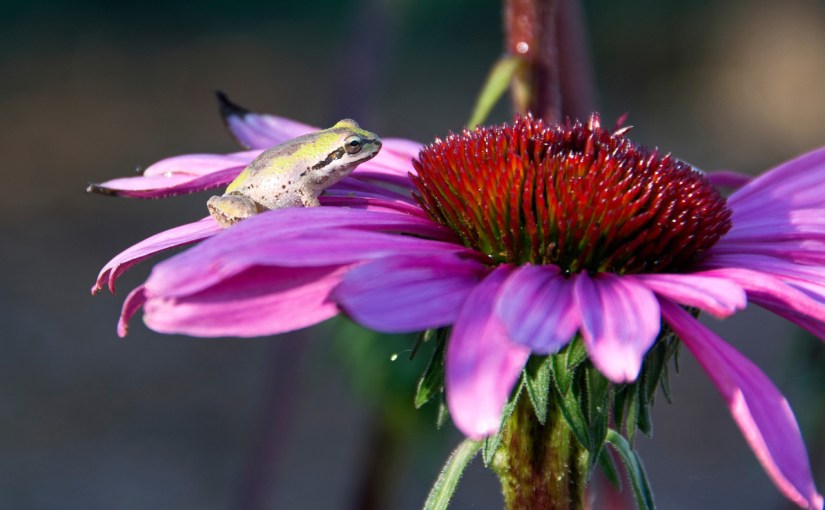 Almost Wordless Wednesday: Rob’s&nbsp;Work