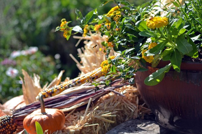 Fall-Arrangement-Bee-10_20_13