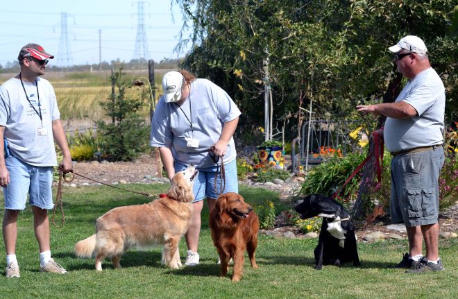 Liberty-Skipper-Apollo