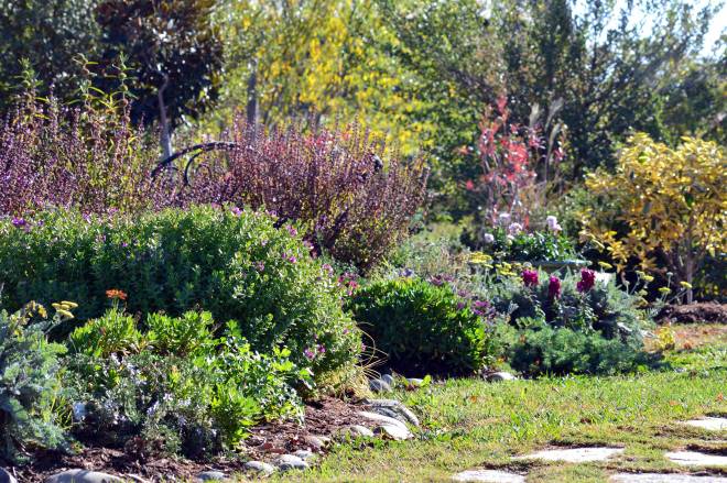 Herb-Garden-Fall-11_17_13