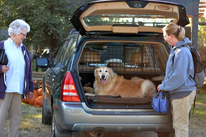 Rollie-Goes-Home-11_10_13