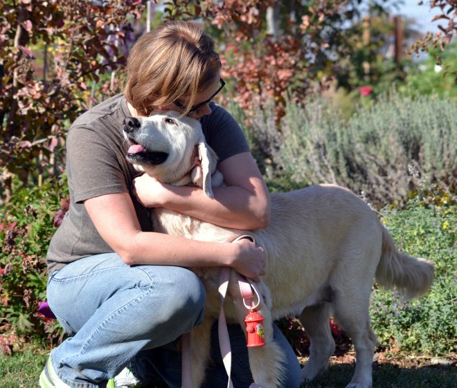 Summer-Goes-Home2-11_10_13