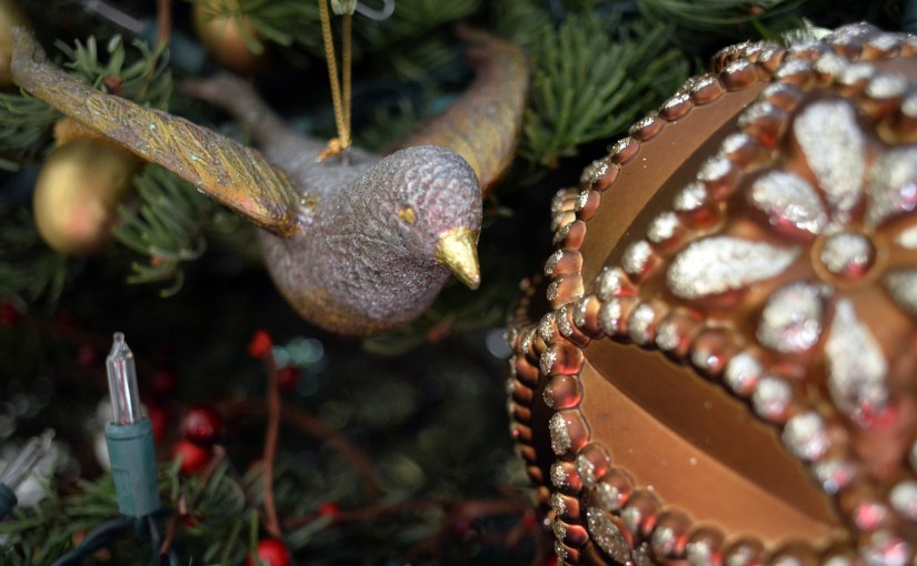 To my chosen&nbsp;family