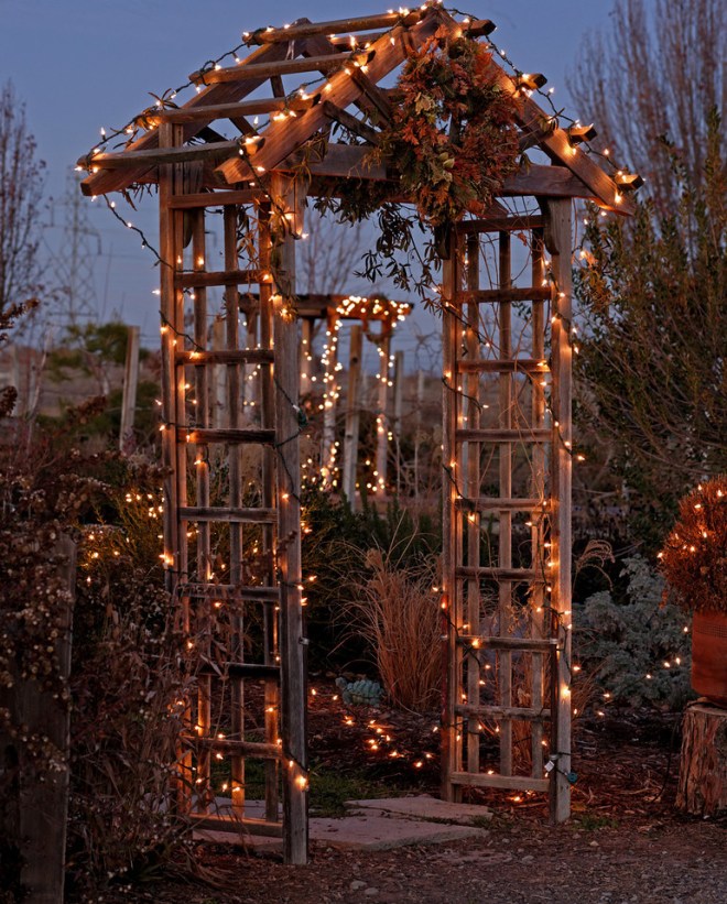 _eve_3131_DxO-X2 (1)