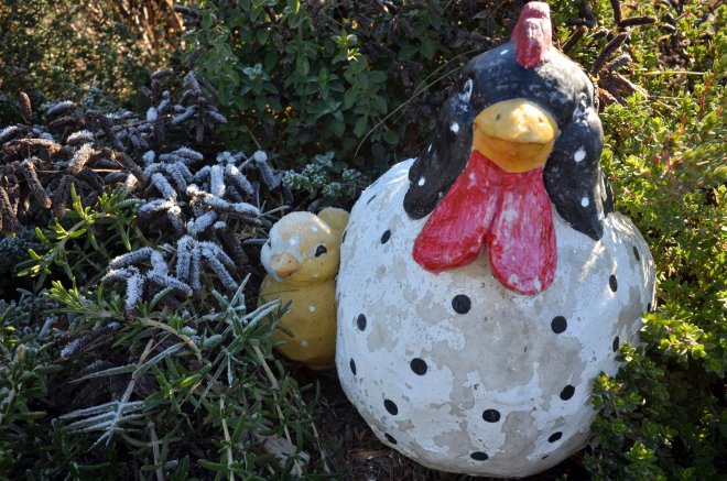 The-Freeze13-12_8_13