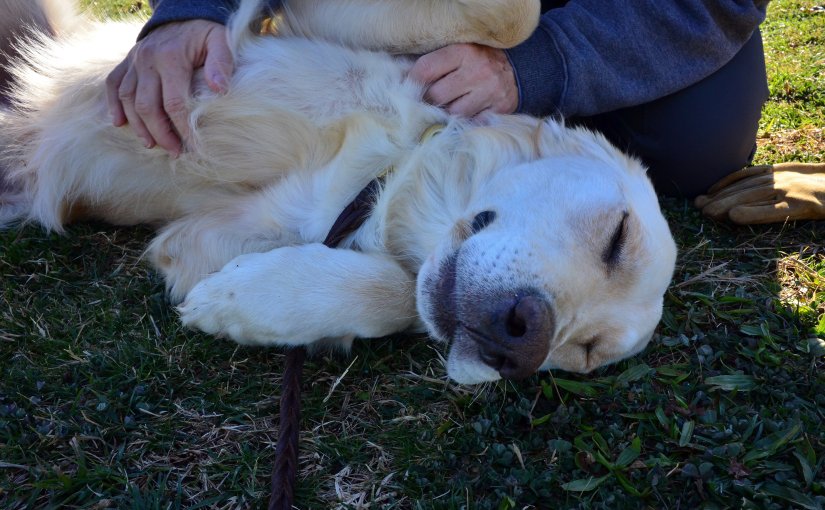 Wordless Wednesday: Safe