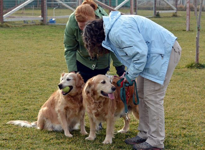 Surrendered2-1_11_14