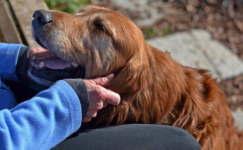 Wordless Wednesday: Happiness