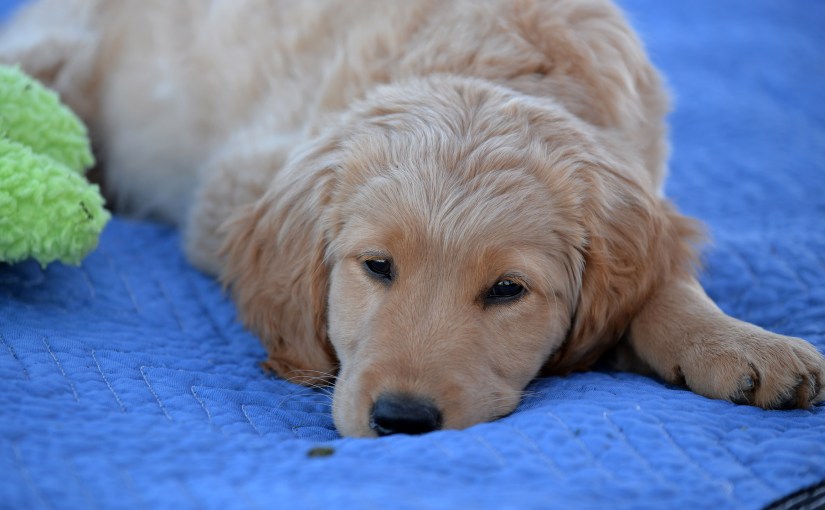 Wordless Wednesday: Witten