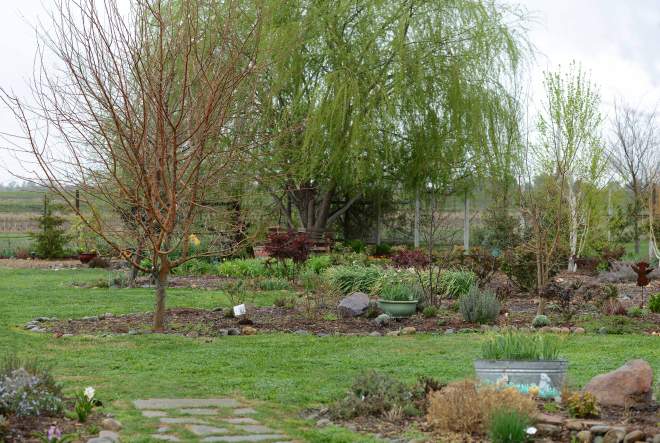 Garden_3_12_DSC_0811