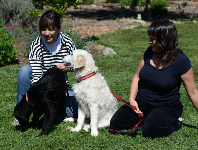 Conner-Rosie_DSC_0149