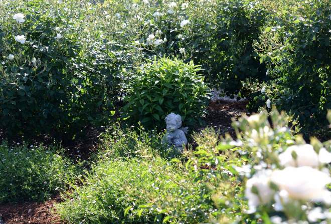 Garden_4_12_14_DSC_0797