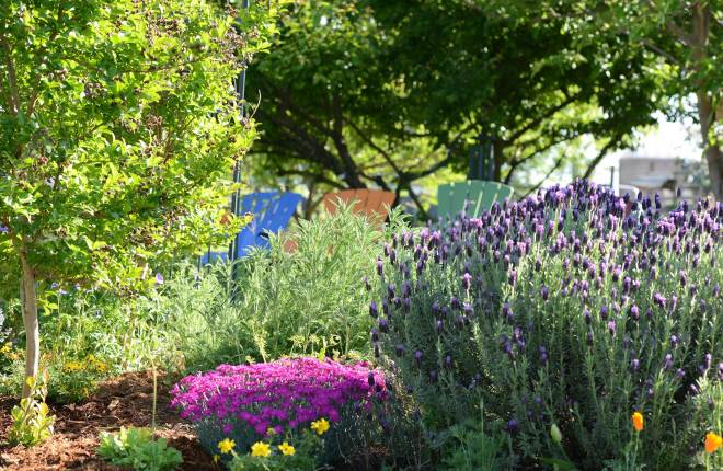 Garden_4_12_14_DSC_0821