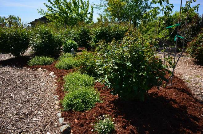 Rose-Garden-4_14_DSC_0516