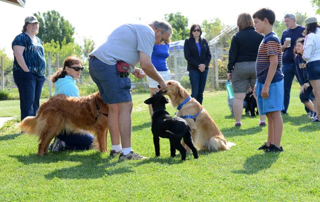 Burneys-Pups_DSC_0946