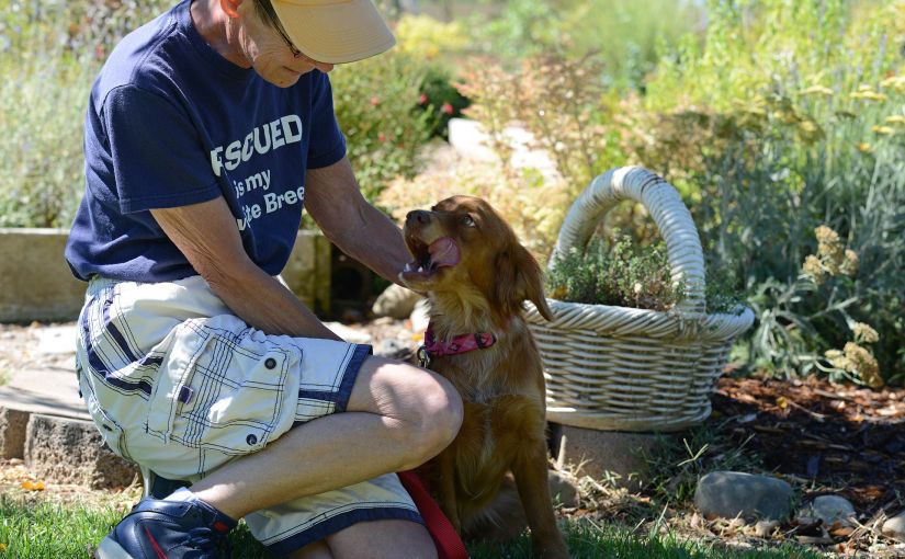 Wordless Wednesday: Tara