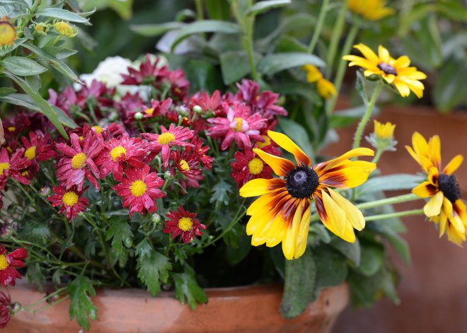 Fall-Container_DSC_4193