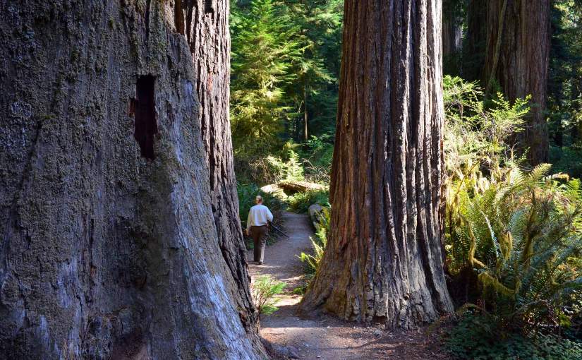 Wordless Wednesday: In God’s&nbsp;Garden