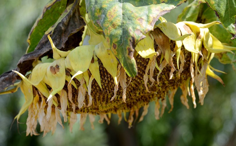 Say Goodbye To&nbsp;Summer