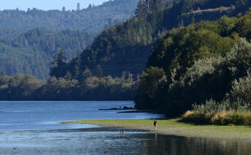 The Dogs of Klamath&nbsp;III