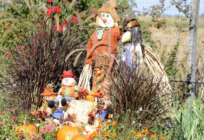 Fall-Decorations_DSC_6299