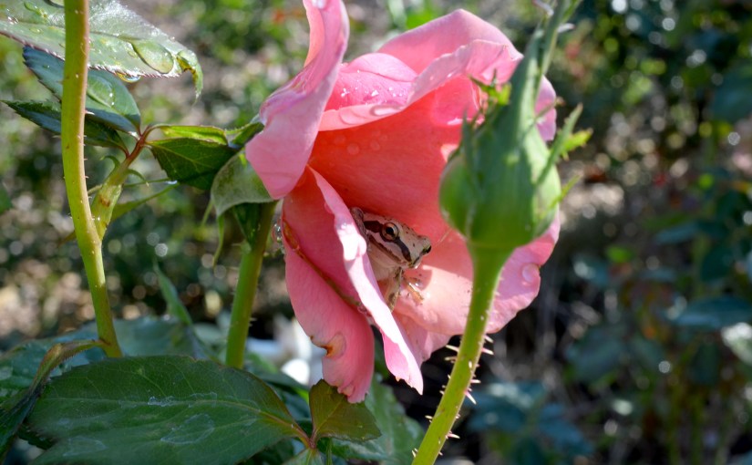 Made for each&nbsp;other