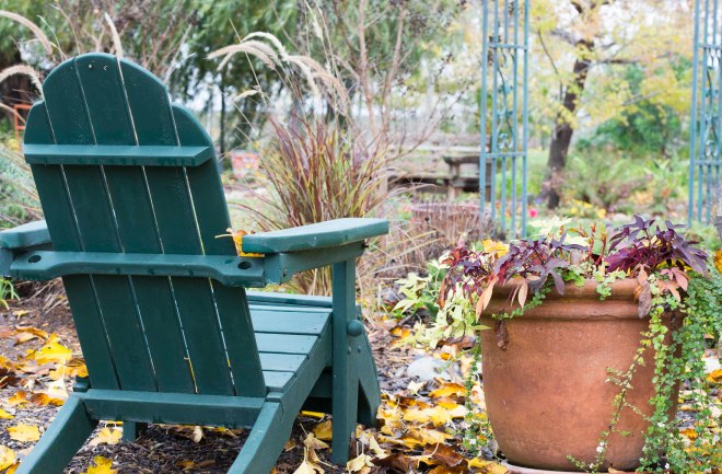 Garden_Fall_DSC_9918